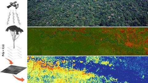 How Species Distribution Models Are Made