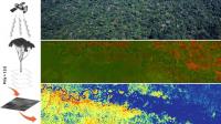 How Species Distribution Models Are Made