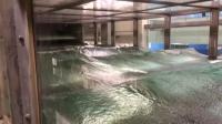 SUrge-STructure-Atmosphere INteraction (SUSTAIN) Laboratory