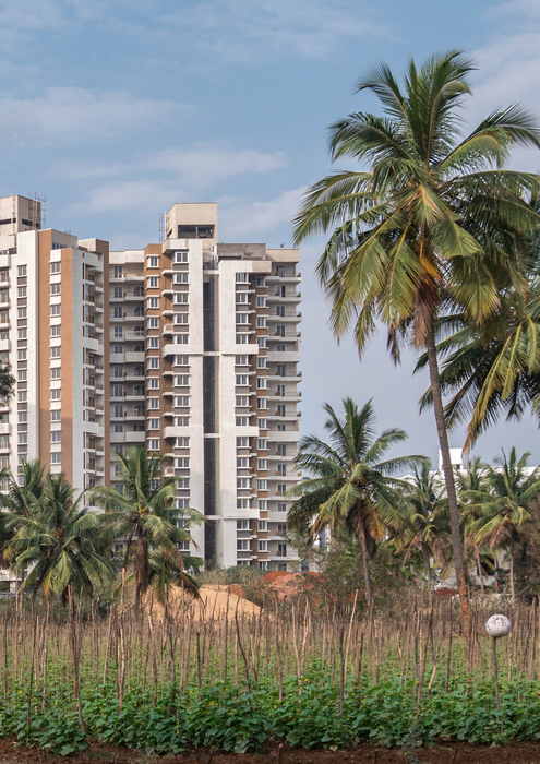 Urban farm next to high-rise building