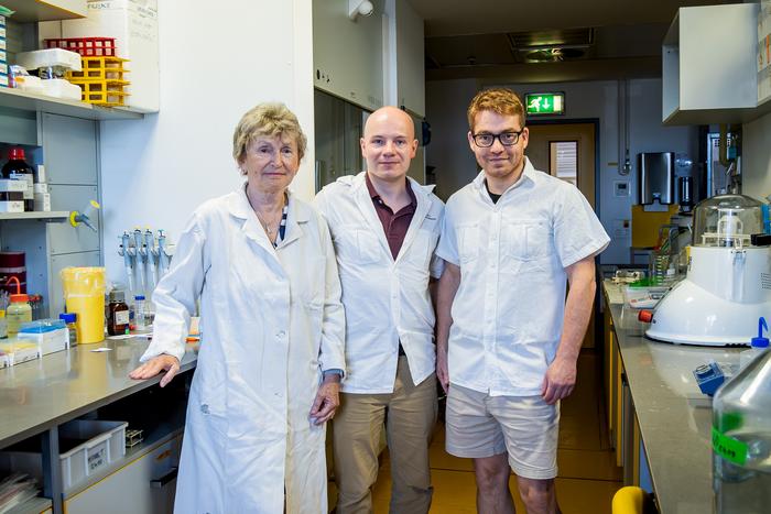 First author of the study Štěpán Jeřábek (Columbia University, IOCB Prague, in the middle) with co-authors Michal Doležal and Iva Pichová (IOCB Prague)