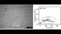 Cell sensor