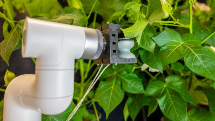 Soft Leaf Gripper DeSouza