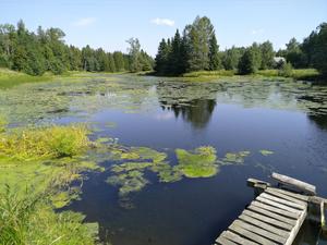 2_Reservoirs are warming up water and create algal blooms_Anti Vasemägi