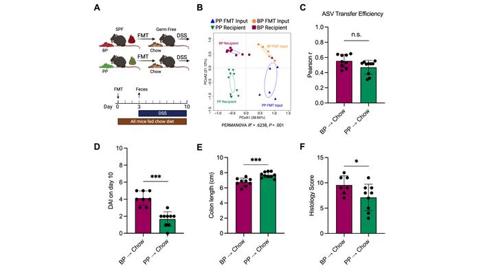 New research finds that the protein component of beef worsens gut inflammation
