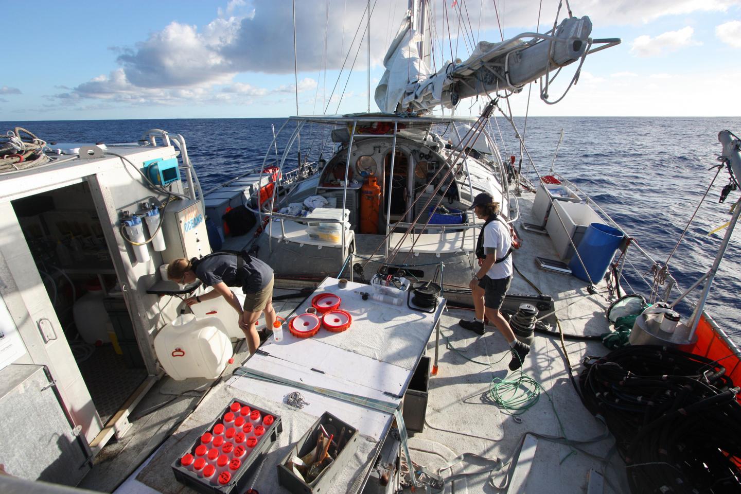 Tara Oceans Seawater Samples