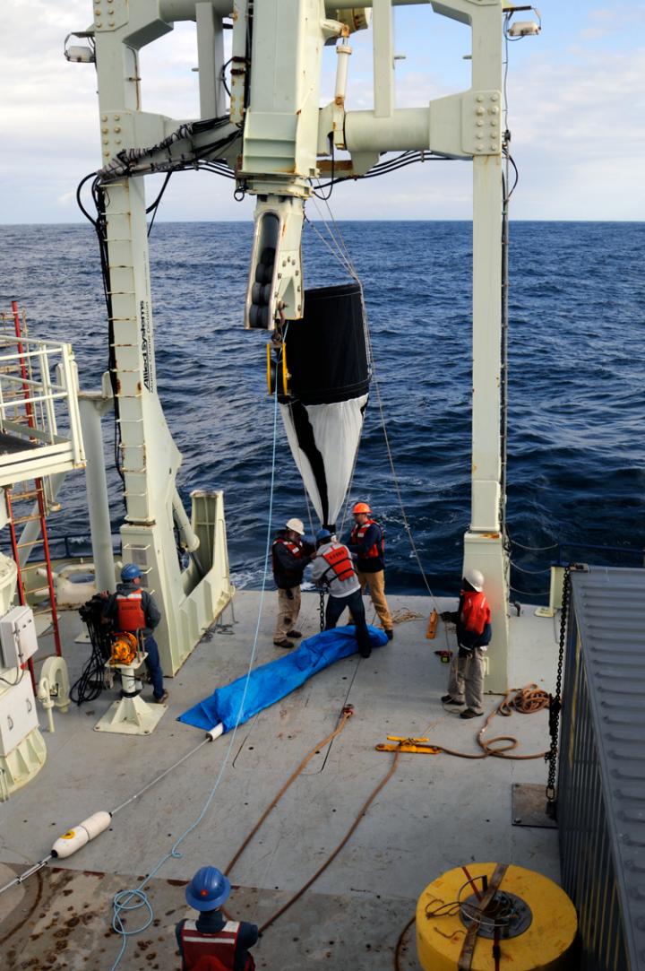 Sediment Trap