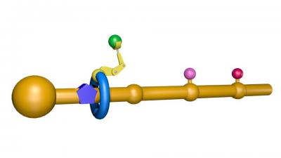 Peptides From a Robotic Ribosome? (3 of 6) | EurekAlert!