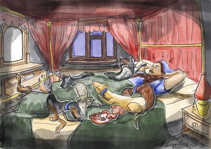 Who is disrupting whom? Examining the nighttime activity patterns of humans and their dogs