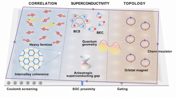 Various quantum states arising from the interplay of electronic correlation, superconductivity, and topology in twisted graphene moiré superlattices