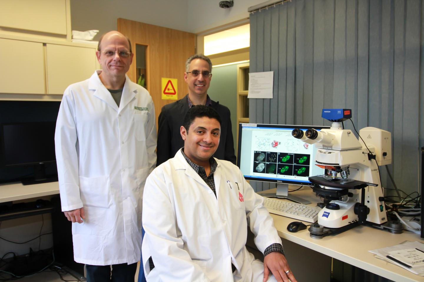 Researchers