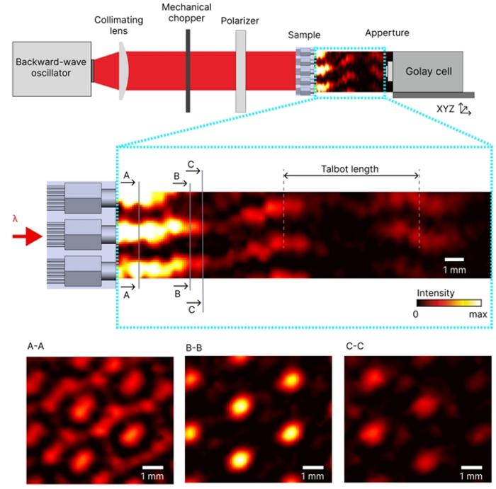 Figure | Radiation intensity distribution behind a diatom frustule-like structure.
