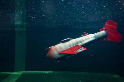Michigan State Robotic Fish