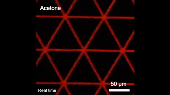 Assembly of the microstructures