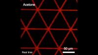 Assembly of the microstructures