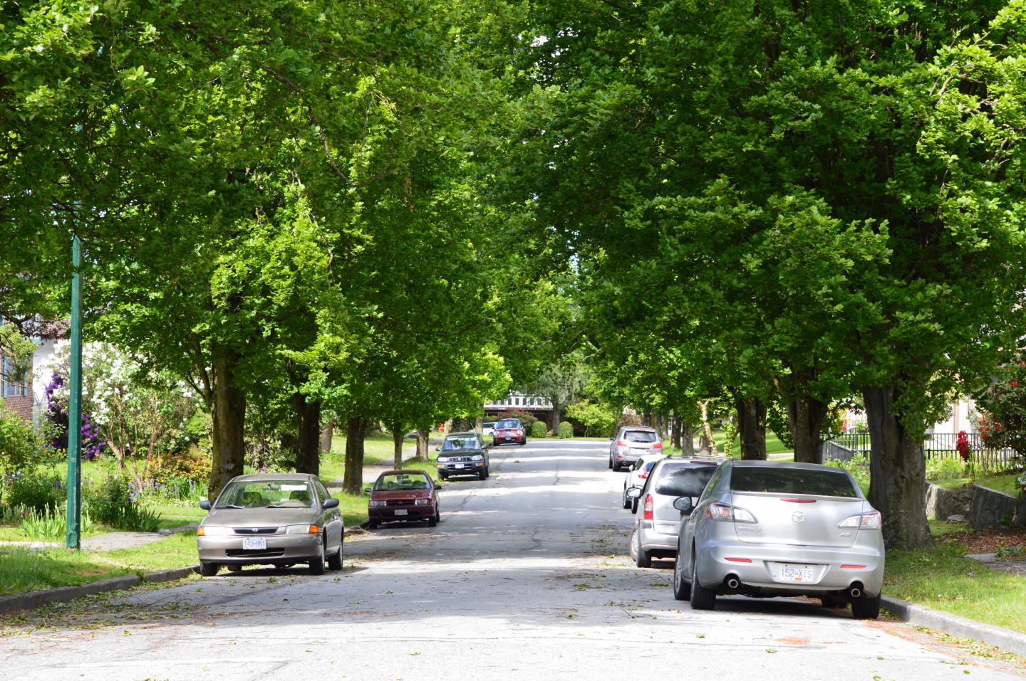 Vancouver Neighbourhood