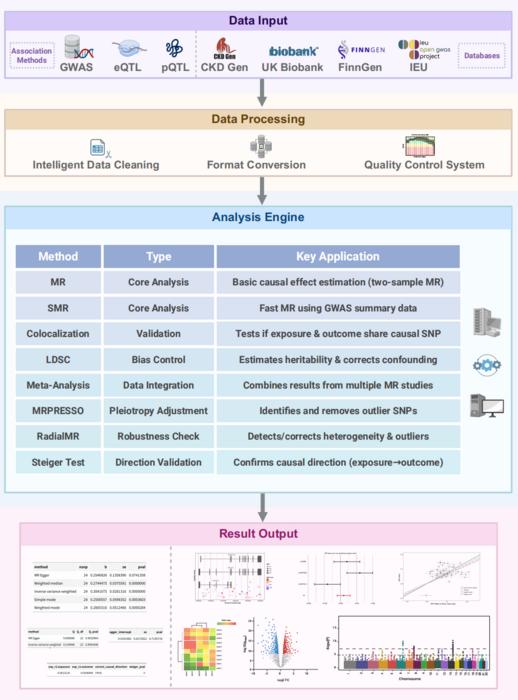 MendelR analysis Process Overview