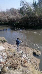 Sampling river water downstream from a WWTP in Tshwane, South Africa.