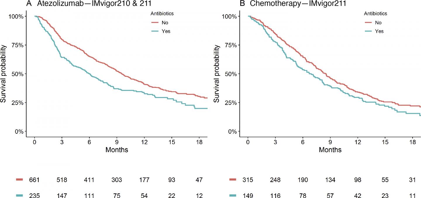 Graph: Antibiotic Overuse Reduces Urothelial Cancer