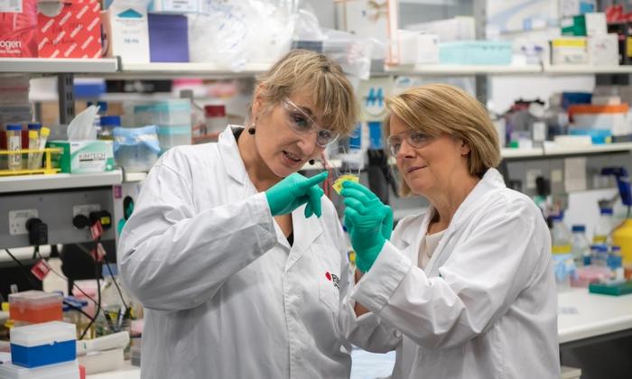 Collaboration key to success