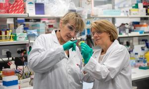 Collaboration key to success