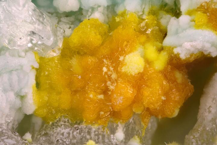 Mineral Leesite