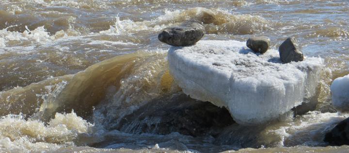 Arctic Stream