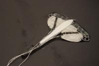 Swimming Stingray Robot Alternate View