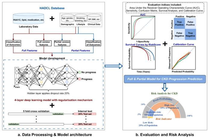PolyU develops Hong Kong’s first AI agent and risk prediction model for precision diabetes management, with patient recruitment in New Territories West starting in early July