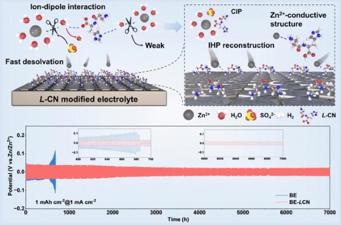 Decoupling Ion–Dipole Interactions via Competitive Coordination for Durable Dendrite‑Free Zinc Metal Batteries