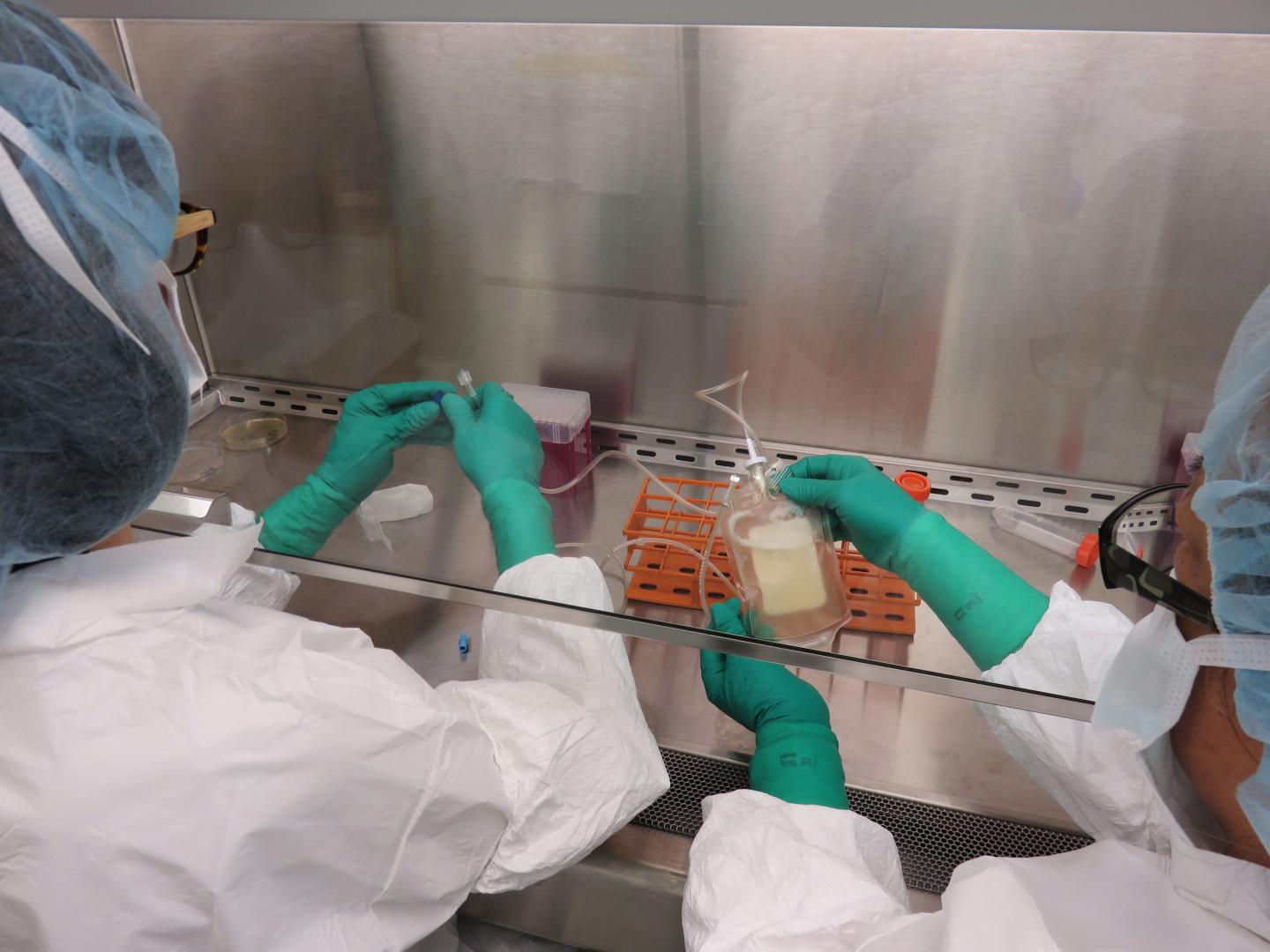 Melanoma Vaccines 