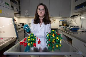 Robust and soft porous crystals with unique gas sorption properties