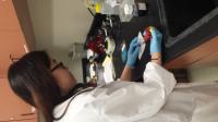 Hemp Shows Potential for Treating Ovarian Cancer