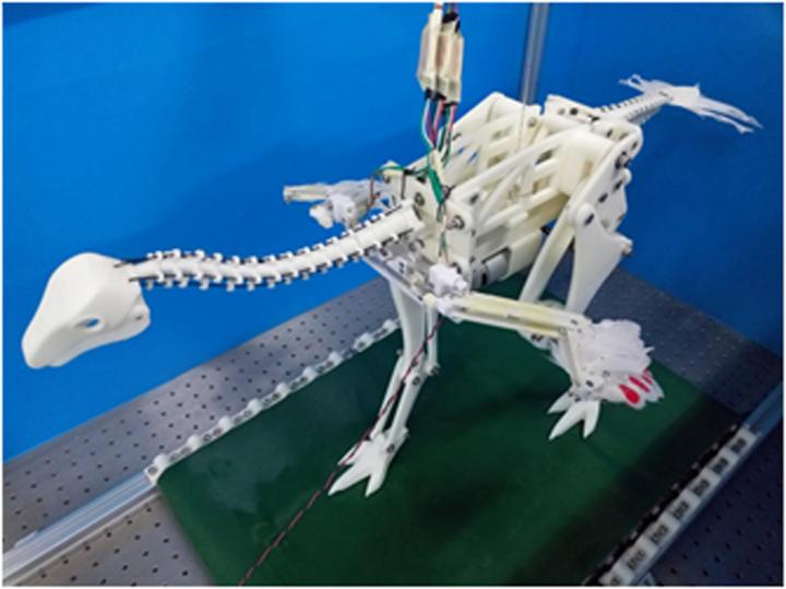 Running May Have Made Dinosaurs' Wings Flap Before they Evolved to Fly