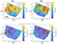 DMS distribution and food density