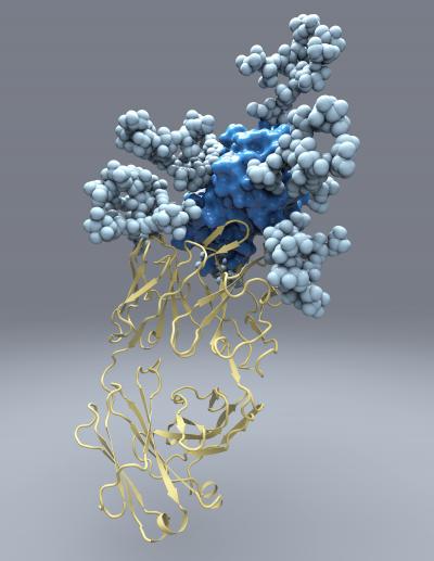 Scientists Achieve Most Detailed Picture Ever of Key Part of Hepatitis C Virus