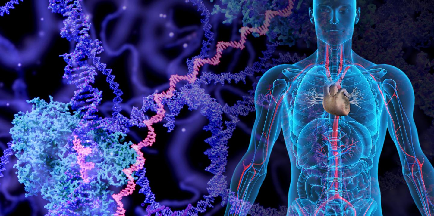 Hidden Signs in Cancer Tissue