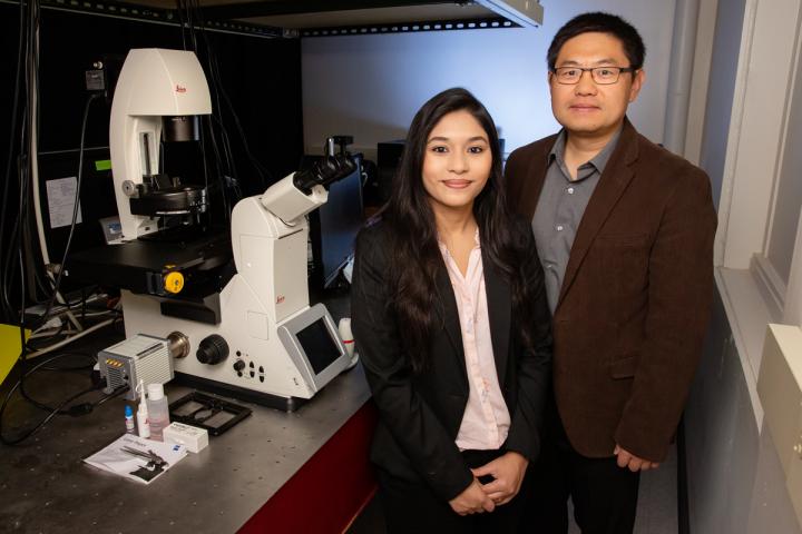 Research Team