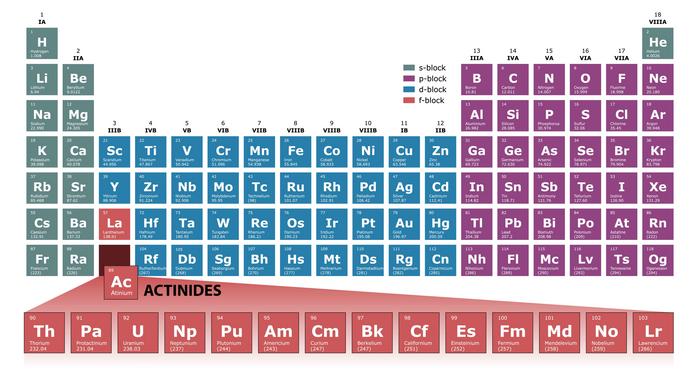 Actinides on the periodic table