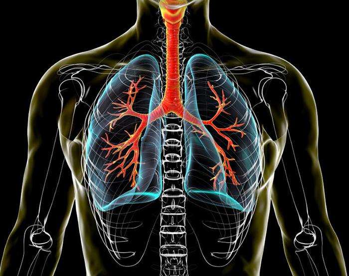 Findings from the study support the potential of new therapies that could improve clinical outcomes for patients with squamous and adenocarcinoma non-small cell lung cancers that don’t respond to immunotherapy.