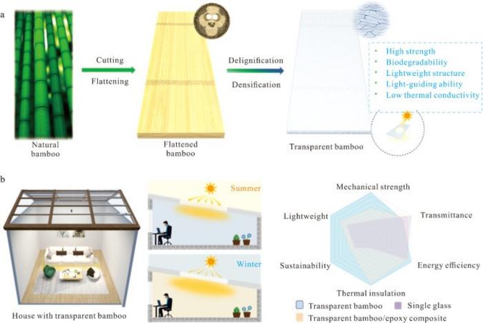 Sustainable Transparent Bamboo/W-VO2 Composites for Solar Modulation and Energy-Efficient Buildings