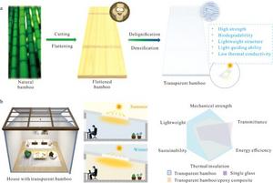 Sustainable Transparent Bamboo/W-VO2 Composites for Solar Modulation and Energy-Efficient Buildings