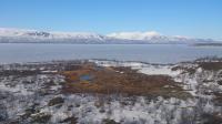Frozen Lake Torneträsk, Located Next to the Study Site