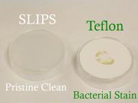 Comparison of SLIPS to Teflon