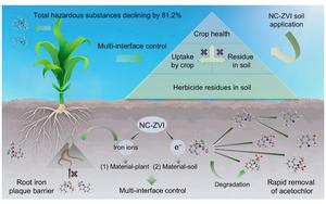 Novel multi-interface regulation of acetochlor fate in a soil-plant system using N-doped biochar-modified zero-valent iron nanocomposites for enhanced degradation and protective root iron plaque formation