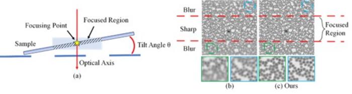 Figure 2. Illustration of imaging a 3D specimen under a microscope.