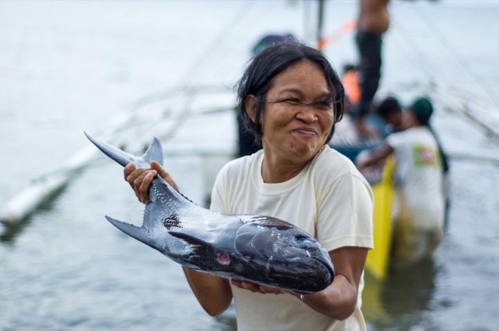 Apo Island