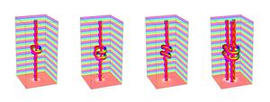 Computer simulations of hopfion rings