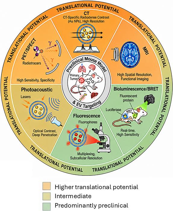 Emerging biomedical imaging applications of tumor-derived extracellular vesicles for premetastatic niche detection: Biological rationale, engineering strategies, and translational challenges