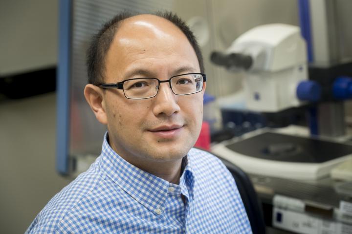 Rui Zhao, University of Alabama at Birmingham  